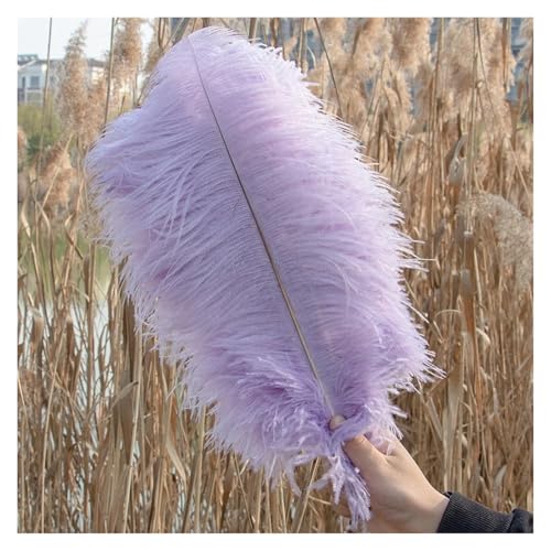 Natürliche Federn, Bastelfedern, 10 Stück, mehrfarbig, 15–45 cm, for Basteln, for Hochzeitsfeiern, Dekoration(Color 8,4045cm) von ASZHQUXIUAS