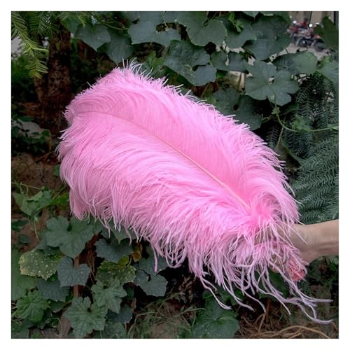 Natürliche Federn, Bastelfedern, 10 Stück, mehrfarbig, 15–45 cm, for Basteln, for Hochzeitsfeiern, Dekoration(Pink,4045cm) von ASZHQUXIUAS