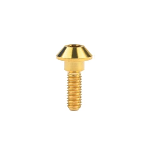 Sechskantschrauben, Innensechskantschrauben, Schraubensatz 4-teilig Titanschrauben Bremsen M6 x 20 mm konischer Kugel-Inbusschlüssel(Gold) von ASZHQUXIUAS