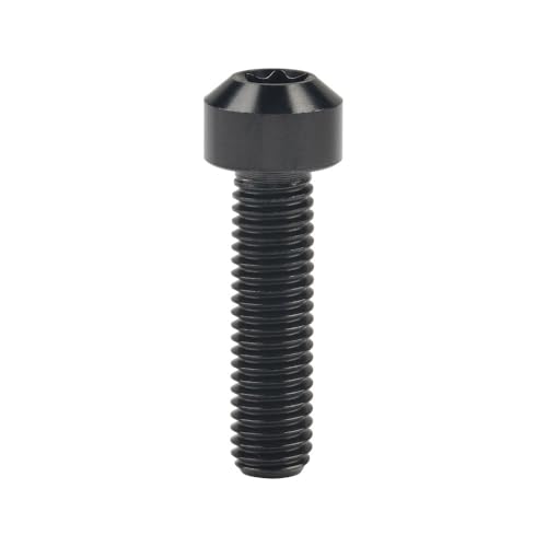 Sechskantschrauben, Innensechskantschrauben, Schraubensatz Titanbolzen M8 x 10 15 20 25 30 35 40 45 50 mm T40 for die Umrüstung von Motorrad- und Autoteilen(Black,25MM-M8) von ASZHQUXIUAS