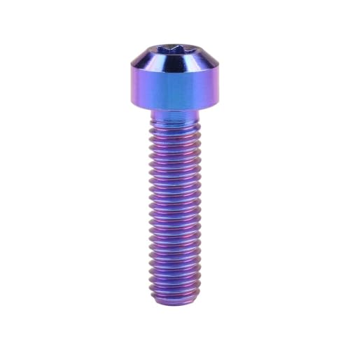 Sechskantschrauben, Innensechskantschrauben, Schraubensatz Titanbolzen M8 x 10 15 20 25 30 35 40 45 50 mm T40 for die Umrüstung von Motorrad- und Autoteilen(Bluish Violet,50MM-M8) von ASZHQUXIUAS