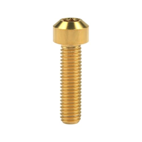 Sechskantschrauben, Innensechskantschrauben, Schraubensatz Titanbolzen M8 x 10 15 20 25 30 35 40 45 50 mm T40 for die Umrüstung von Motorrad- und Autoteilen(Gold,50MM-M8) von ASZHQUXIUAS