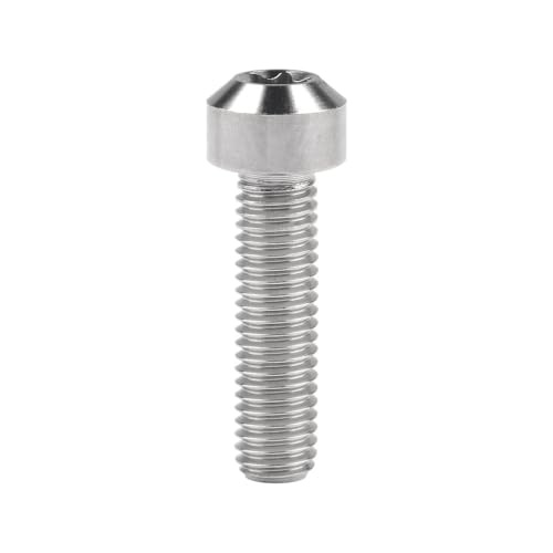 Sechskantschrauben, Innensechskantschrauben, Schraubensatz Titanbolzen M8 x 10 15 20 25 30 35 40 45 50 mm T40 for die Umrüstung von Motorrad- und Autoteilen(Silver,20MM-M8) von ASZHQUXIUAS