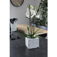 Design Beton Blumentopf Vase von AStyleDE