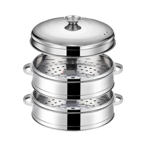 Dampfgarer aus Edelstahl Dampfgarer aus Edelstahl, for gedämpfte gefüllte Brötchen, Küchenutensilien, mehrschichtiger Einsatz mit Halter, Instant Pot Dampfkorb(25.4cm 2 layer 1 Lid) von ATEUXOL