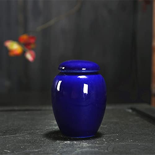 ATGQBCF Tierurne Pet Urn for Dogs Cats Ashes Keepsake Memorial Box Funeral Set Burial Urns for Cremated Remains Ash Vial Adult Funeral Urn Pet Cat and Dog Urn 36322 Gedenkstätten Für Haustiere(Blue) von ATGQBCF