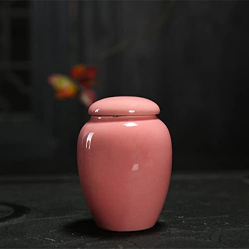 ATGQBCF Tierurne Pet Urn for Dogs Cats Ashes Keepsake Memorial Box Funeral Set Burial Urns for Cremated Remains Ash Vial Adult Funeral Urn Pet Cat and Dog Urn 36322 Gedenkstätten Für Haustiere(Pink) von ATGQBCF
