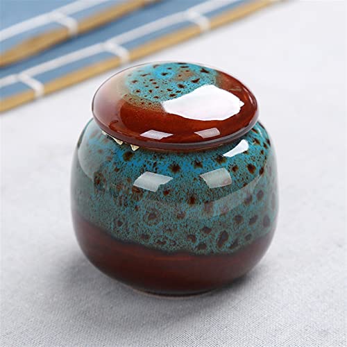 ATGQBCF Tierurne Pet Urn for Dogs Cats Ashes Keepsake Memorial Box Funeral Set Burial Urns for Cremated Remains Ash Vial Adult Funeral Urn Pet Cat and Dog Urn 59621 Gedenkstätten Für Haustiere(Blue) von ATGQBCF