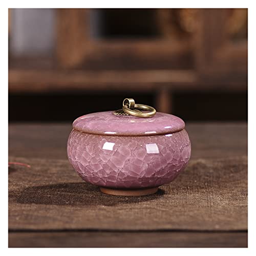 ATGQBCF Tierurne Pet Urn for Dogs Cats Ashes Keepsake Memorial Box Funeral Set Burial Urns for Cremated Remains Ash Vial Adult Funeral Urn Pet Cat and Dog Urn 73251 Gedenkstätten Für Haustiere(E,XS) von ATGQBCF