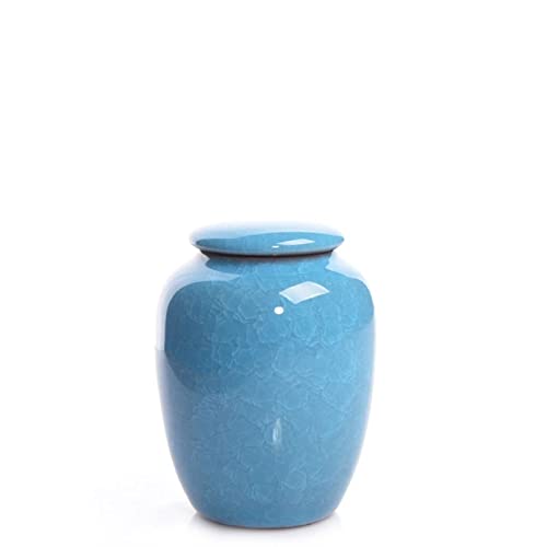 ATGQBCF Tierurne Pet Urn for Dogs Cats Ashes Keepsake Memorial Box Funeral Set Burial Urns for Cremated Remains Ash Vial Adult Funeral Urn Pet Cat and Dog Urn 8073 Gedenkstätten Für Haustiere(Blue) von ATGQBCF