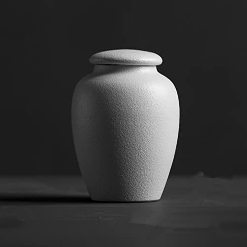 Tierurne Pet Urn For Dogs Cats Ashes Keepsake Memorial Box Funeral Set Burial Urns For Cremated Remains Ash Vial Adult Funeral Urn Pet Cat And Dog Urn 97177 Gedenkstätten Für Haustiere(White,9x12cm) Tierurne Pet Urn For Dogs Cats Ashes Keepsake Memorial Box Funeral Set Burial Urns For Cremated Remains Ash Vial Adult Funeral Urn Pet Cat And Dog Urn 97177 Gedenkstätten Für Haustiere(White,9x12cm) von ATGQBCF