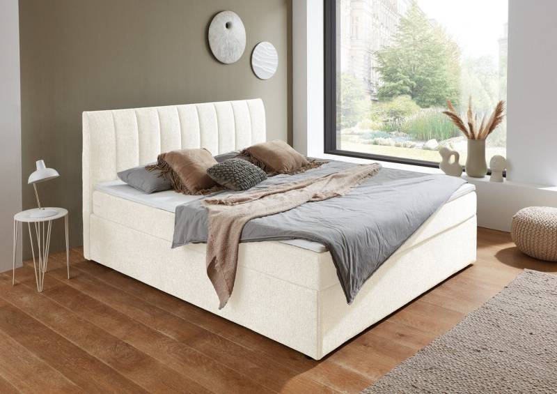 ATLANTIC home collection Boxbett Alva, wahlweise mit Matratze, wahlweise mit Matratze und Topper von ATLANTIC home collection