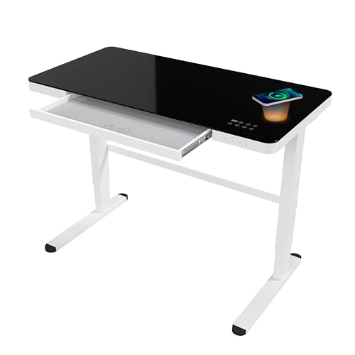 ATLASIO Elektrisch höhenverstellbarer Schreibtisch 120x60 cm mit Wireless Charger & Timer, Computertisch höhenverstellbar mit Touchpad & USB, SHD Limited Edition in schwarz-weiß ATLASIO Elektrisch höhenverstellbarer Schreibtisch 120x60 cm mit Wireless Charger & Timer, Computertisch höhenverstellbar mit Touchpad & USB, SHD Limited Edition in schwarz-weiß von ATLASIO
