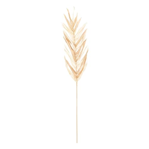 Atmosphera - 3er-Set-Palmwedel OVA - Beige von ATMOSPHERA CREATEUR D'INTERIEUR