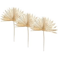 3er-Set Stängel Suite - getrocknete Pflanze - golden h. 56 cm Atmosphera créateur d'intérieur von ATMOSPHERA