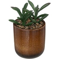 Atmosphera - Künstliche Pflanze - Keramiktopf - H16 cm créateur d'intérieur von ATMOSPHERA