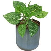 Atmosphera - Künstliche Pflanze - Keramiktopf - H16 cm créateur d'intérieur von ATMOSPHERA