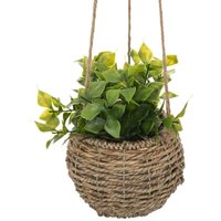 Atmosphera - Zoe-Pflanze zum Aufhängen H17cm - von ATMOSPHERA