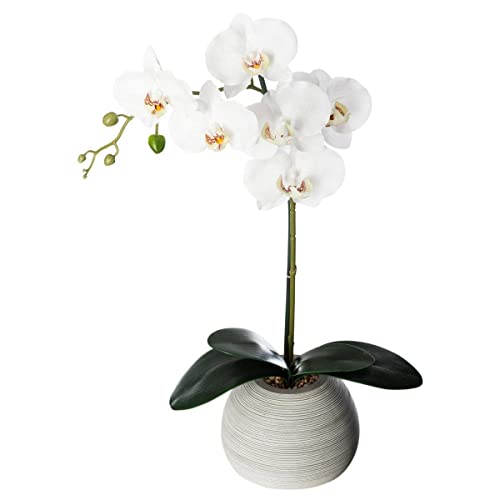 Atmosphera - Künstliche Orchidee - Zementtopf - H53 cm - Grau von ATMOSPHERA CREATEUR D'INTERIEUR