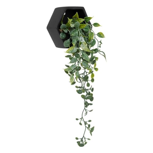 Atmosphera - Künstliche hängepflanze Ayame Topf schwarz h14cm von ATMOSPHERA CREATEUR D'INTERIEUR