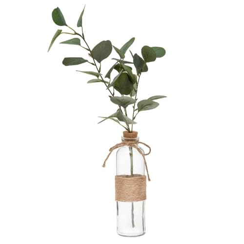 Atmosphera - Künstlicher Eukalyptus - Glasvase - H45 cm - Transparent von ATMOSPHERA CREATEUR D'INTERIEUR