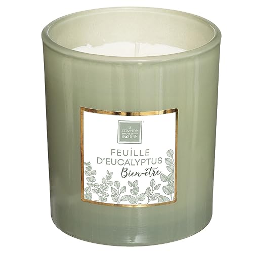 Atmosphera - Duftkerze Mael - Eukalyptus 190g - Hellgrün von ATMOSPHERA CREATEUR D'INTERIEUR