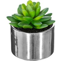 Grünpflanze Keramiktopf H.15 - Grünpflanze Keramiktopf H.15 - von ATMOSPHERA