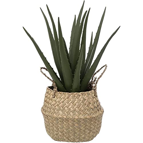 Atmosphera - Künstliche Aloe Vera - Schilfrohrtopf - H40 cm - Beige von ATMOSPHERA CREATEUR D'INTERIEUR