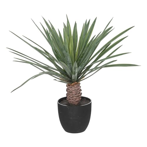 Atmosphera - Künstliche Palme Rivi Zementtopf - H52 cm - Schwarz von ATMOSPHERA CREATEUR D'INTERIEUR