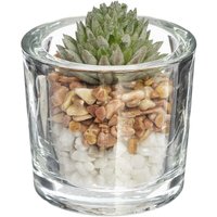 Atmosphera - Künstliche Pflanze H10cm - Model 2 von ATMOSPHERA