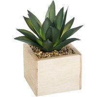 Atmosphera Créateur D'intérieur - Künstliche Pflanze H14cm - Modell 1 Atmosphera Créateur D'intérieur - Künstliche Pflanze H14cm - Modell 1 von ATMOSPHERA
