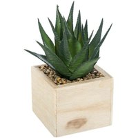 Atmosphera - Künstliche Pflanze H14cm - Modell 3 von ATMOSPHERA