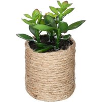 Atmosphera - Künstliche Pflanze H16cm - Modell 2 von ATMOSPHERA