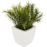 Atmosphera - Künstliche Pflanze Keramiktopf H16cm - Model 3 von ATMOSPHERA