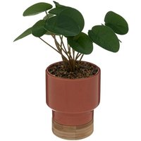 Künstliche Pflanze Topf aus Keramik & Bambus - H.26 cm - Atmosphera créateur d'intérieur von ATMOSPHERA