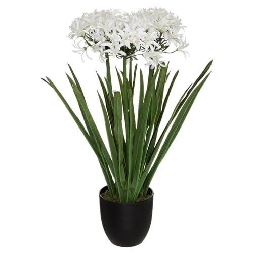 Atmosphera - Künstlicher Agapanthus H66 cm - Weiß von ATMOSPHERA CREATEUR D'INTERIEUR