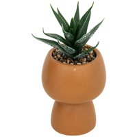 Künstlicher Sukkulent in einem Topf, 17 cm Künstlicher Sukkulent in einem Topf, 17 cm von ATMOSPHERA