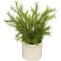Kunstpflanze Factory Jute H25cm - Model 2 Kunstpflanze Factory Jute H25cm - Model 2 von ATMOSPHERA