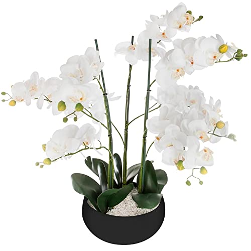 Orchid Topf Keramik schwarz H65 von ATMOSPHERA