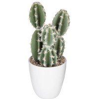 Sukkulente & Kaktuspflanze H18cm - Model 4 von ATMOSPHERA