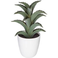 Sukkulente & Kaktuspflanze H18cm - Model 6 von ATMOSPHERA