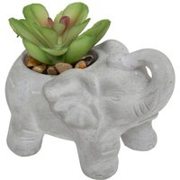 Kunstpflanze Elefant Zementtopf H10cm - Model 2 von ATMOSPHERA