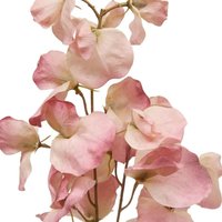Atmosphera - Kunstblume Fria H74cm - Farbe b von ATMOSPHERA