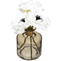 Atmosphera - Komposition künstliche Anemone Vase Glas H20cm - Khaki - Khaki von ATMOSPHERA