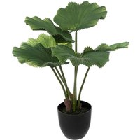 Atmosphera - Künstliche Palme - Zementtopf - H65 cm créateur d'intérieur Atmosphera - Künstliche Palme - Zementtopf - H65 cm créateur d'intérieur von ATMOSPHERA
