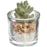 Atmosphera - Künstliche Pflanze H10cm - Model 1 Atmosphera - Künstliche Pflanze H10cm - Model 1 von ATMOSPHERA