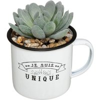 Atmosphera - Kunstpflanze mug Metall H10cm - Model 1 Atmosphera - Kunstpflanze mug Metall H10cm - Model 1 von ATMOSPHERA