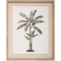 Gerahmtes Leinwandbild Baum 40x50cm - Bananenbaum von ATMOSPHERA