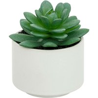 Fettpflanze im Topf H13 - Modell c weiß Fettpflanze im Topf H13 - Modell c weiß von ATMOSPHERA
