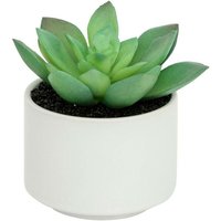 Fettpflanze im Topf H13 - Modell d weiß Fettpflanze im Topf H13 - Modell d weiß von ATMOSPHERA